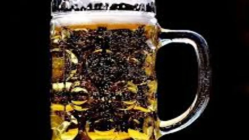 बीयर की बिक्री में अयोध्या बना प्रदेश में अव्वल, जून में दर्ज हुआ बड़ा इजाफा  