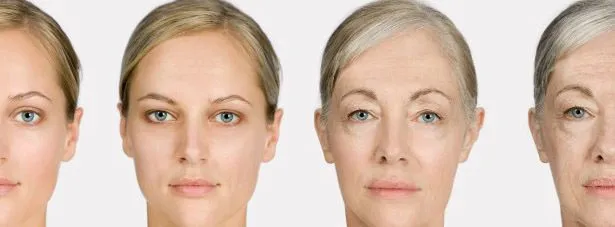 उम्र से पहले छा रहा बुढ़ापा? चेहरा ने खो दिया लचीलापन? डाइइट में शामिल करें ये खाद्य पदार्थ... 