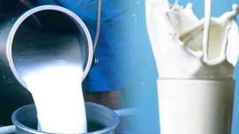 प्रयागराज : पराग डेरी से नहीं मिला 80 लाख का भुगतान, भुखमरी की कगार पर पहुंचे किसान