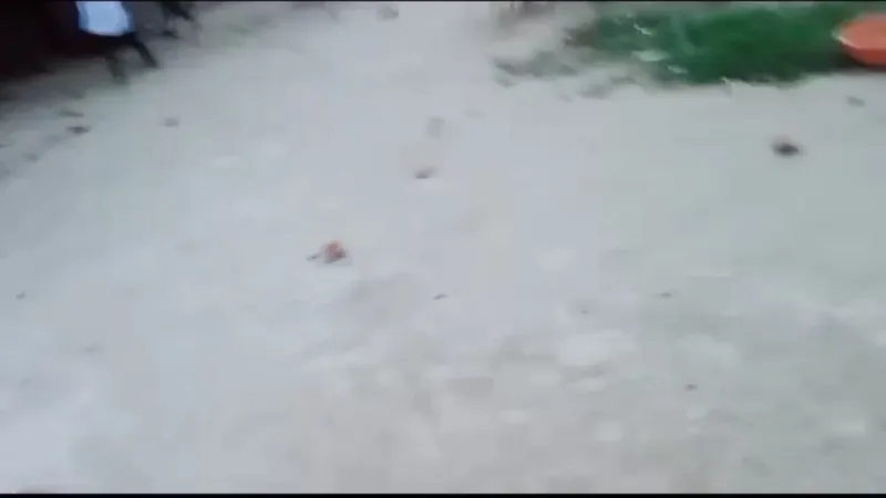 बहराइच : बाइक से बालिका को ठोकर मारने के विरोध पर मदरसे से हुआ पथराव - देखें Video