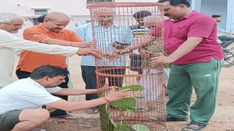 पर्यावरण संरक्षण के लिए पौधरोपण जरूरी : चंदन 
