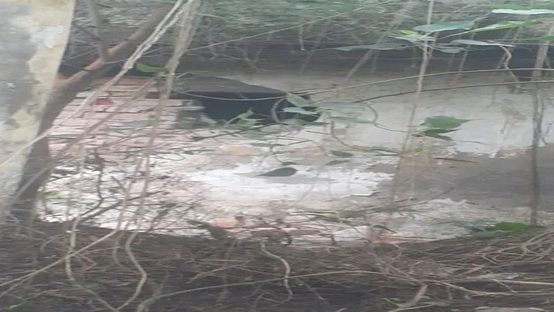 अयोध्या : डाकघर से कैश ले जाने में नाकाम रहे तो कम्प्यूटर व सीपीयू ही उड़ा ले गए चोर