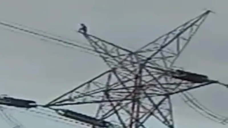 प्रयागराज : बिजली के हाईटेंशन टावर पर चढ़ा युवक, मचा हड़कंप