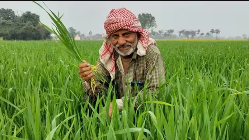 अयोध्या : मिनी किट के लिए सम्मान निधि के लाभार्थियों में से होगा किसानों का चयन