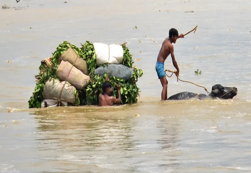 मुरादाबाद में ढेला व अमरोहा में गंगा का जलस्तर बढ़ा, रामपुर में नदियां उफनाईं...संभल में बाढ़ से निपटने के किए इंतजाम