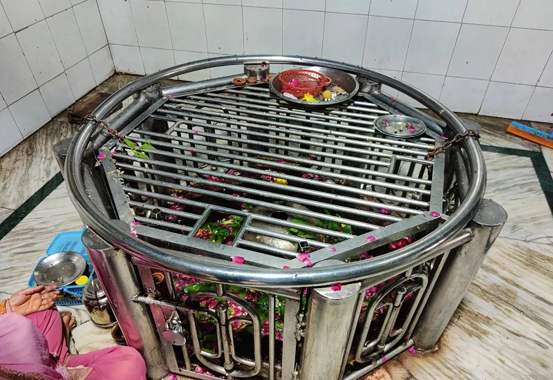 रामपुर : गंगा जमुनी तहजीब का प्रतीक है भमरौआ का पातालेश्वर महादेव मंदिर