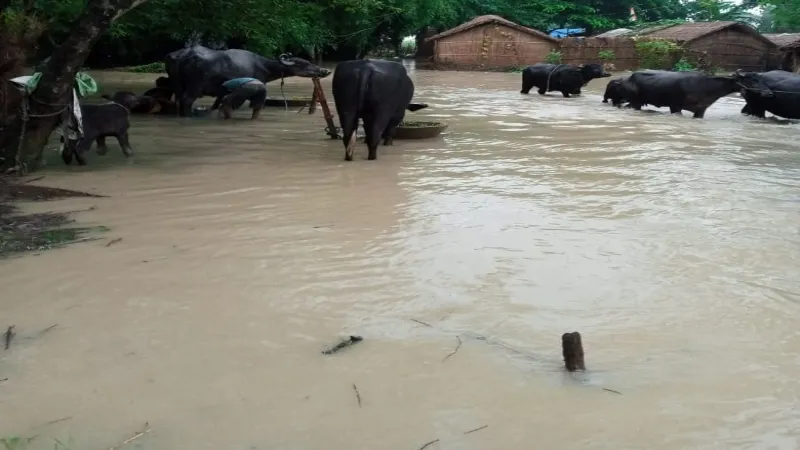 अयोध्या में बाढ़ से प्रभावित होने वाली 3 तहसीलों में बने 10 राहत केन्द्र