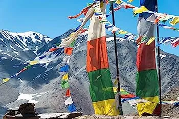 91dVusjVC6L._AC_UF350,350_QL80_