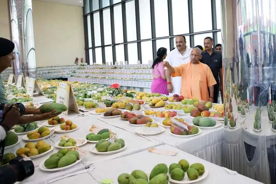 लखनऊ : असली नहीं नकली किसानों को मिल गया CM योगी से पुरस्कार, आम महोत्सव में हुआ 'खेल'   