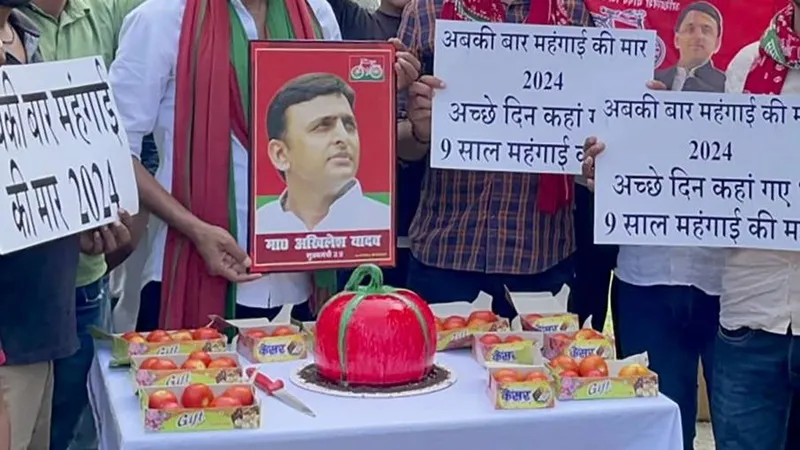 Akhilesh Yadav Birthday: अखिलेश यादव के जन्मदिन पर सपा कार्यकर्ताओं ने काटा टमाटर जैसा केक