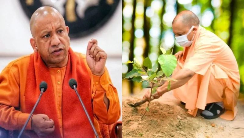 वृक्षारोपण 2023: यूपी में 'पेड़ लगाओ-पेड़ बचाओ' अभियान आज से शुरू, सीएम योगी ने की पौधा रोपने की अपील