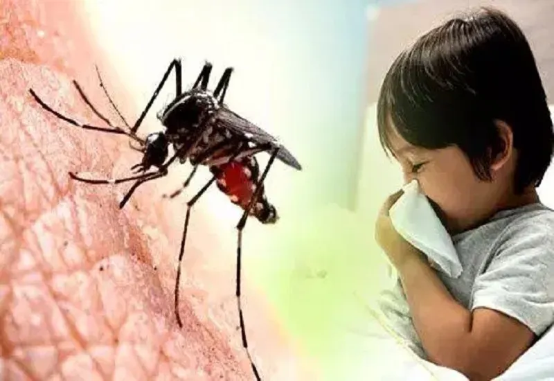 मलेरिया क्या है और लोग कैसे संक्रमित हुए, इस बीमारी को रोकने में कैसे मदद कर सकते हैं? 