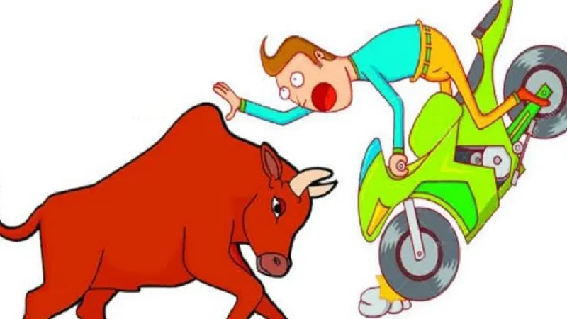 अमरोहा: सांड़ से टकराए बाइक सवार, एक की मौत, साथी गंभीर रूप से घायल