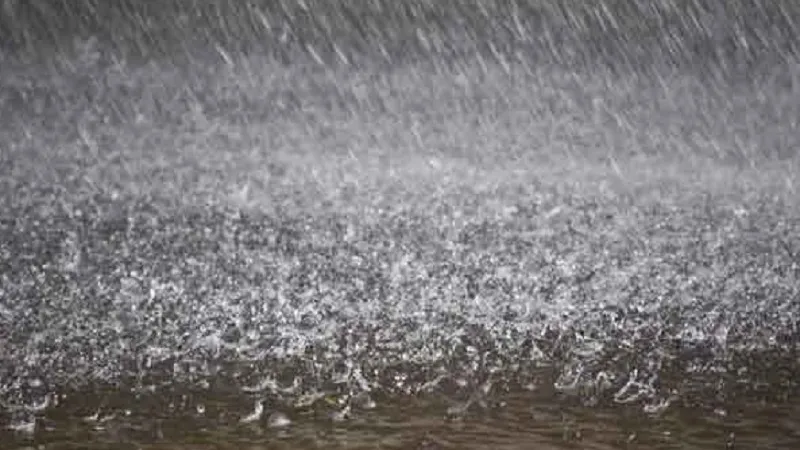 अमरोहा: दाऊद सराय में बारिश से गिरे दो मकान, लोगों ने भाग कर बचाई जान 