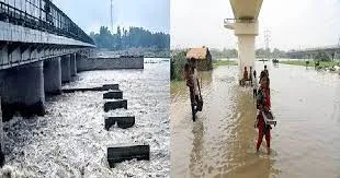 हिमाचल प्रदेश के DGP ने कहा- बाढ़ में बहकर आए शवों की पहचान के लिए किया जा रहा है DNA परीक्षण 