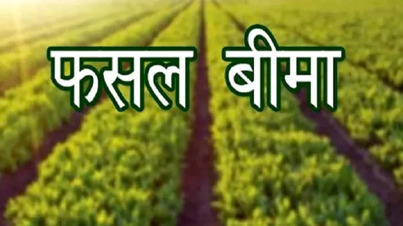 मुरादाबाद: बीमा कराकर प्राकृतिक आपदा से फसलों को सुरक्षित करें किसान