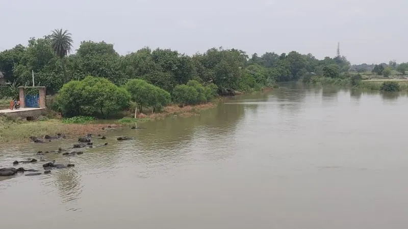 Fatehpur में बढ़ती गंगा से कटरीवासियों की बढ़नी लगी दिल की धड़कनें, रबी की फसल में भी लगेगा झटका 
