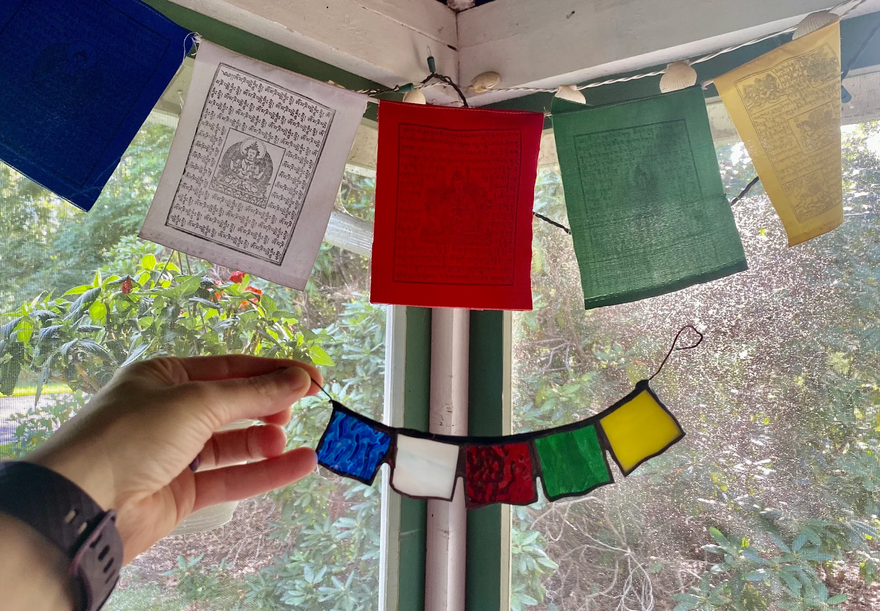 il_fullxfull.3271730410_sdhc