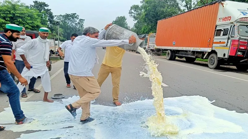 अमरोहा: किसानों का दूध फैक्ट्री गेट पर हंगामा, जीएम से नोकझोंक...किसानों ने सड़क पर बहाया दूध