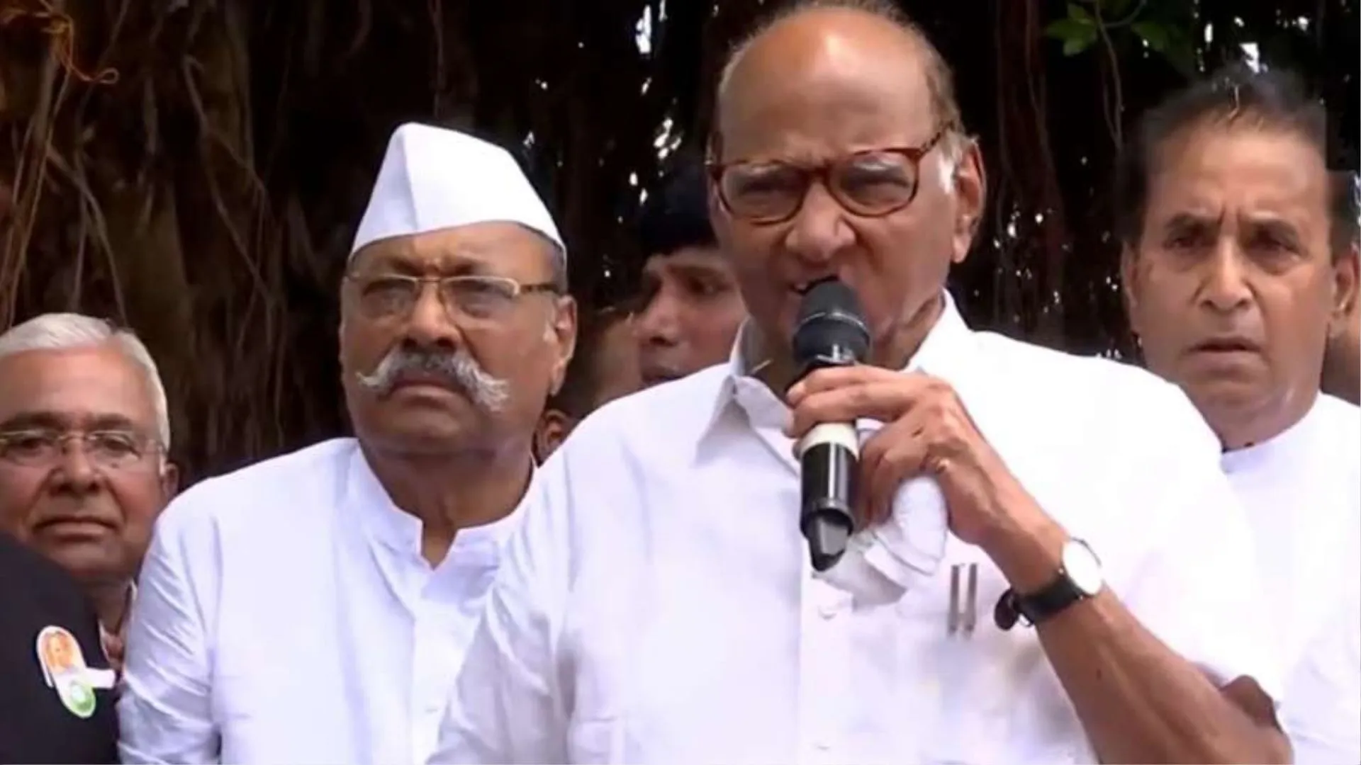 Maharashtra Crisis: 'बीजेपी को उसकी सही जगह दिखाएंगे', जानिए शक्ति प्रदर्शन के दौरान क्या-क्या बोले NCP प्रमुख