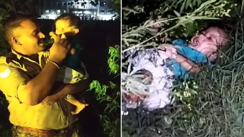 मुरादाबाद : आधी रात झांड़ियों में रोती मिली बच्ची, पैरेंट्स की तलाश में जुटी पुलिस