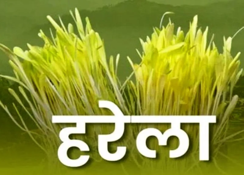 हल्द्वानी: उत्तराखंड का लोक पर्व हरेला...क्यों है खास, क्या है महत्व... जानने के लिए पढ़िए ये खबर