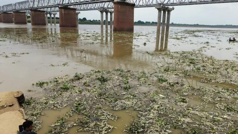 Jalaun News : यमुना नदी का जल स्तर दिखाने लगा तेवर, लोग करने लगे सुरक्षित स्थान पर जाने की तैयारी