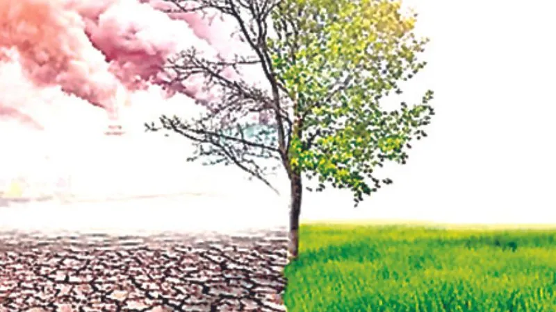 Kanpur News: जलवायु परिवर्तन के कारण मानसून में हो रही पैची रेन, 100 किमी दायरे में ही बदल गया वर्षा का पैटर्न