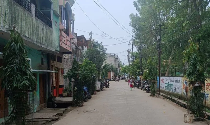 बरेली: पौधों की परवरिश कर छांव देने का कर रहे काम