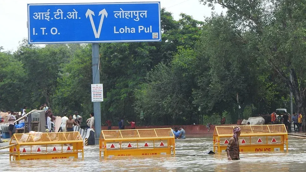 बाढ़ प्रभावित नोएडा और दिल्ली में जानवरों को बचाने के लिए गैर सरकारी संगठन आए आगे 