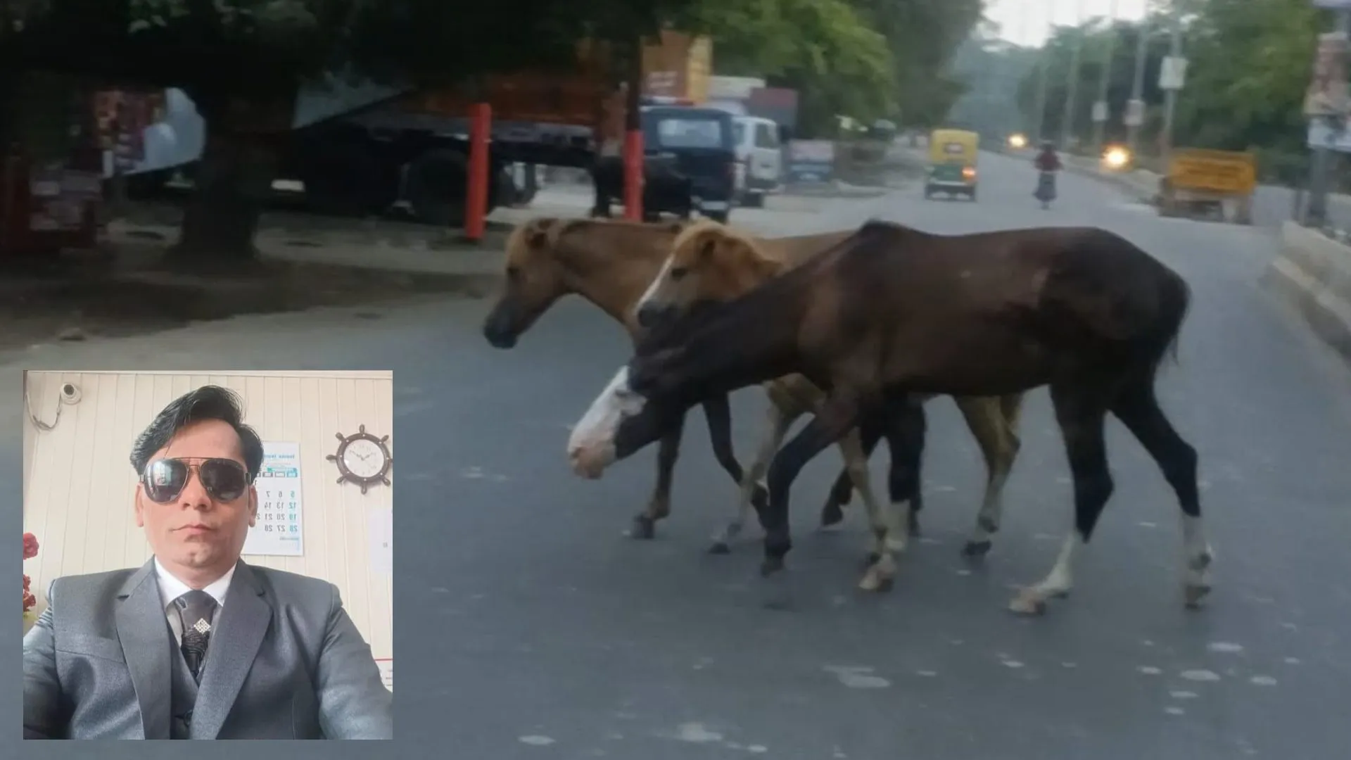 बरेली: सीबीगंज में जानलेवा हुए आवारा पशु, अब घोड़े की टक्कर से बाइक सवार मैनेजर की मौत