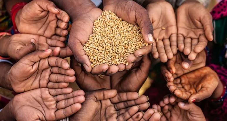 छत्तीसगढ़ में कोविड के दौरान लाभार्थियों को अतिरिक्त मात्रा में खाद्यान्न का लाभ नहीं मिला : कैग