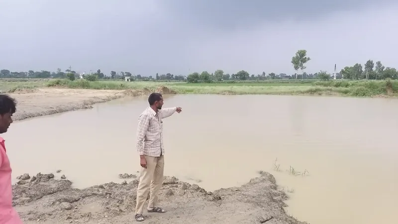 संभल: बकरी चराने गए दो किशोरों की तालाब में डूबने से मौत 