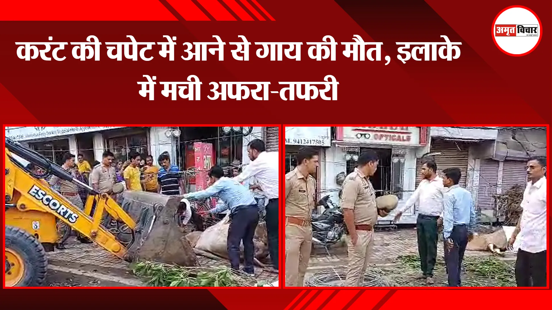 बरेली: करंट की चपेट में आने से गाय की मौत, इलाके में मची अफरा-तफरी 