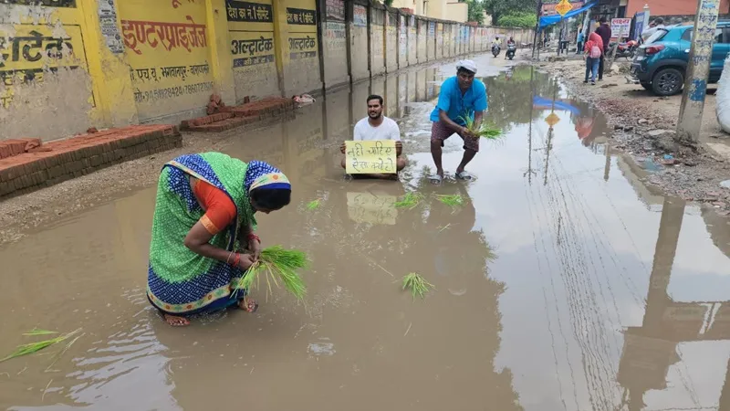 वाराणसी: भगवानपुर छित्तुपुर मुख्य मार्ग पर जलजमाव, विरोध में रोपे धान 