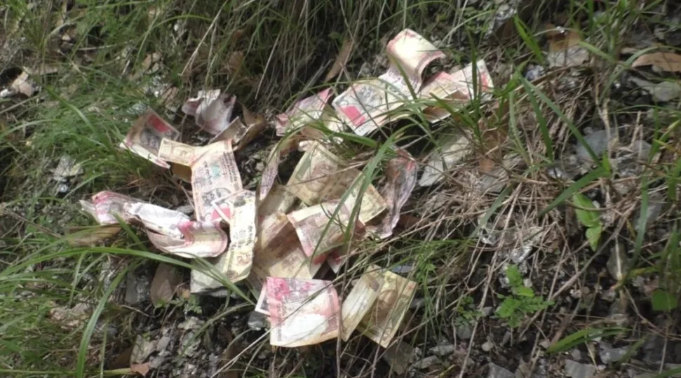 नैनीताल के जंगल में मिले 1000 और 500 के नोट, पुलिस जुटी जांच में