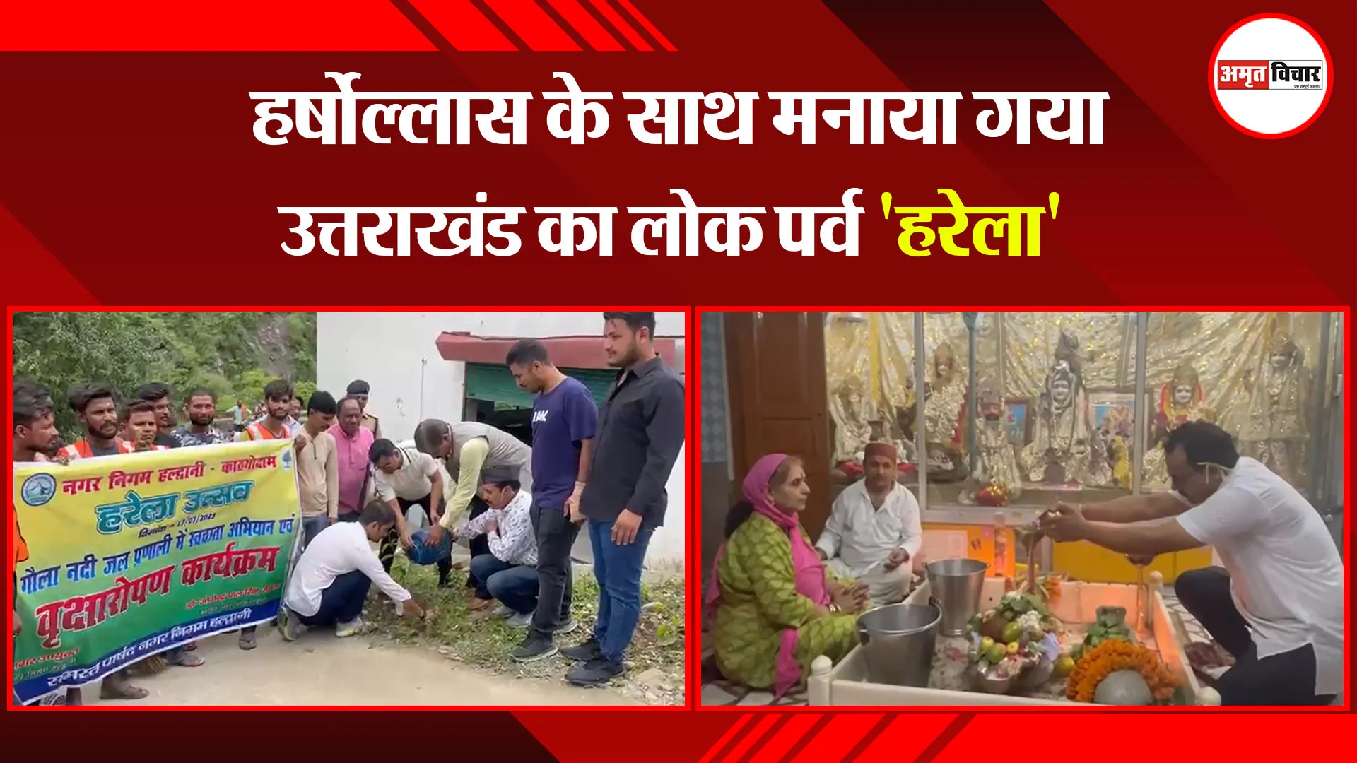 हल्द्वानी: हर्षोल्लास के साथ मनाया गया उत्तराखंड का लोक पर्व 'हरेला'