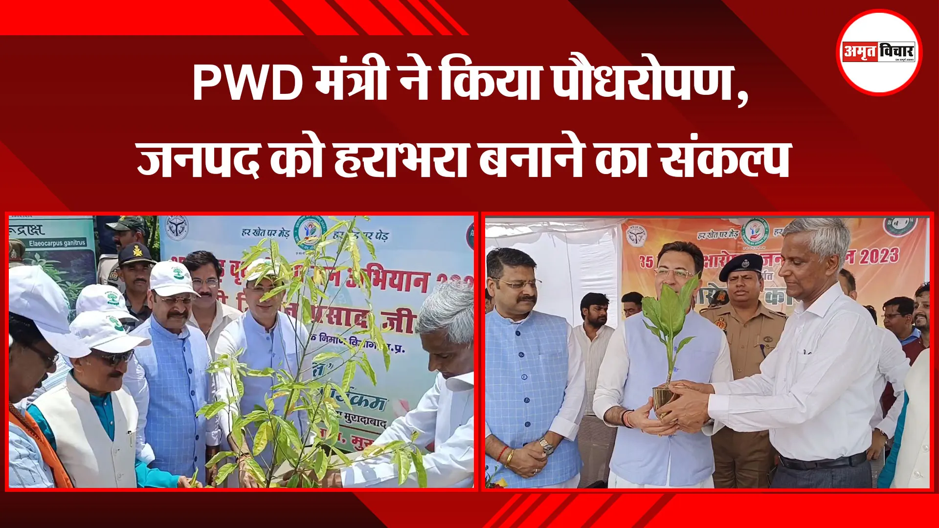 मुरादाबाद : PWD मंत्री ने किया पौधरोपण, जनपद को हराभरा बनाने का संकल्प 