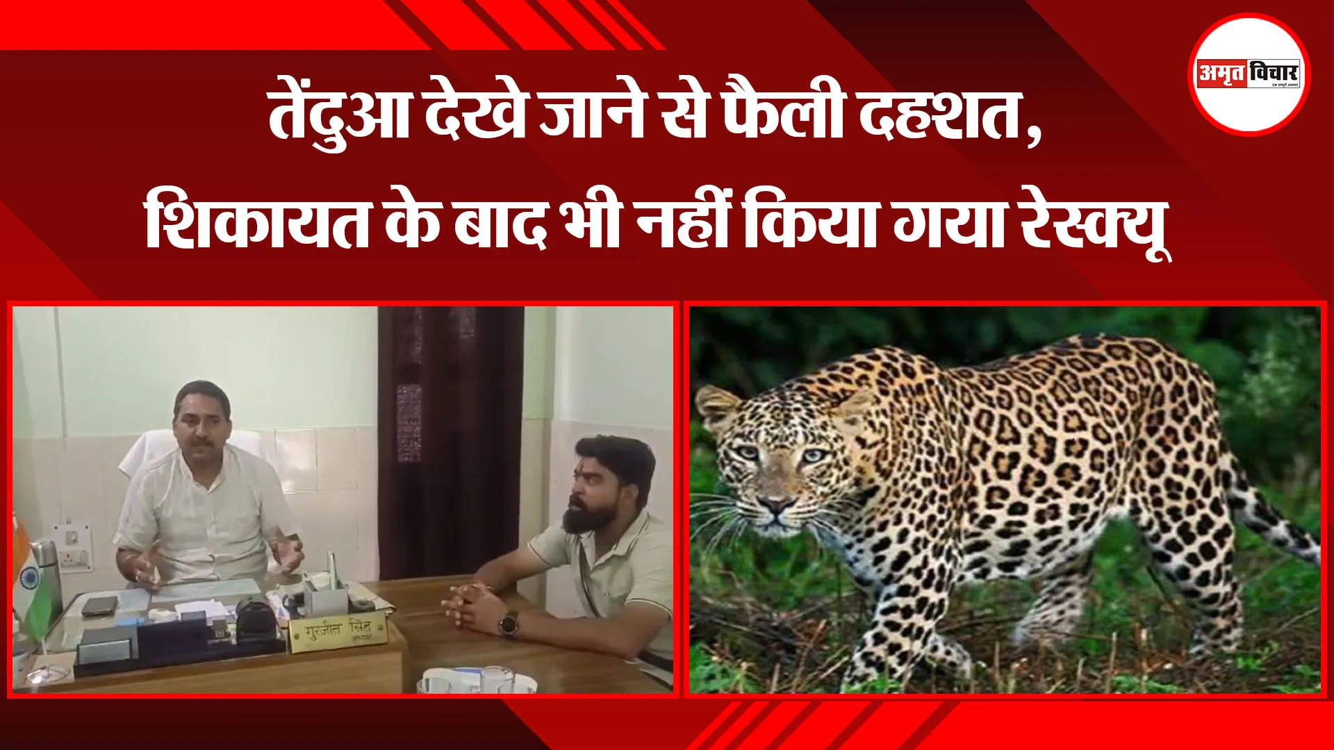  बाजपुर: तेंदुआ देखे जाने से फैली दहशत, शिकायत के बाद भी नहीं किया गया रेस्क्यू 