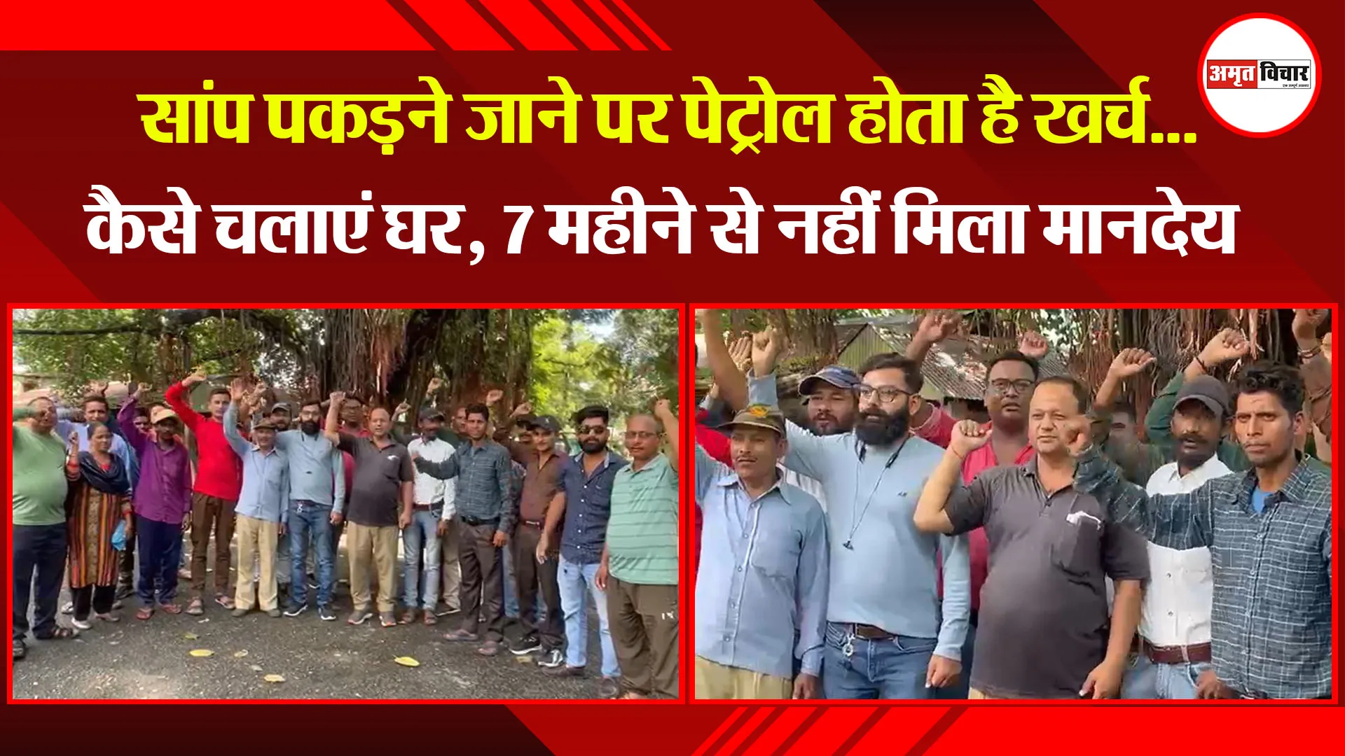 हल्द्वानी: सांप पकड़ने जाने पर पेट्रोल होता है खर्च...कैसे चलाएं घर, 7 महीने से नहीं मिला मानदेय