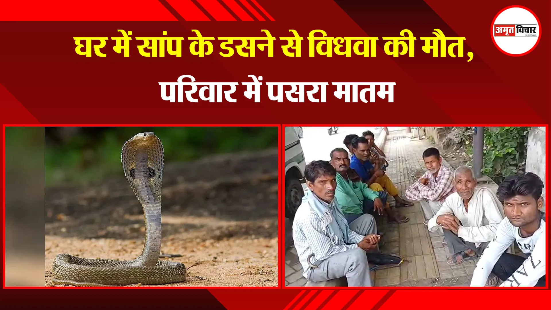 बरेली: घर में सांप के डसने से विधवा की मौत, परिवार में पसरा मातम