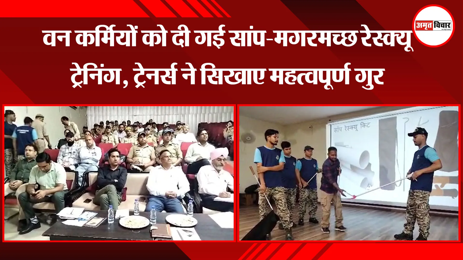 हल्द्वानी: वन कर्मियों को दी गई सांप-मगरमच्छ रेस्क्यू ट्रेनिंग, ट्रेनर्स ने सिखाए महत्वपूर्ण गुर  