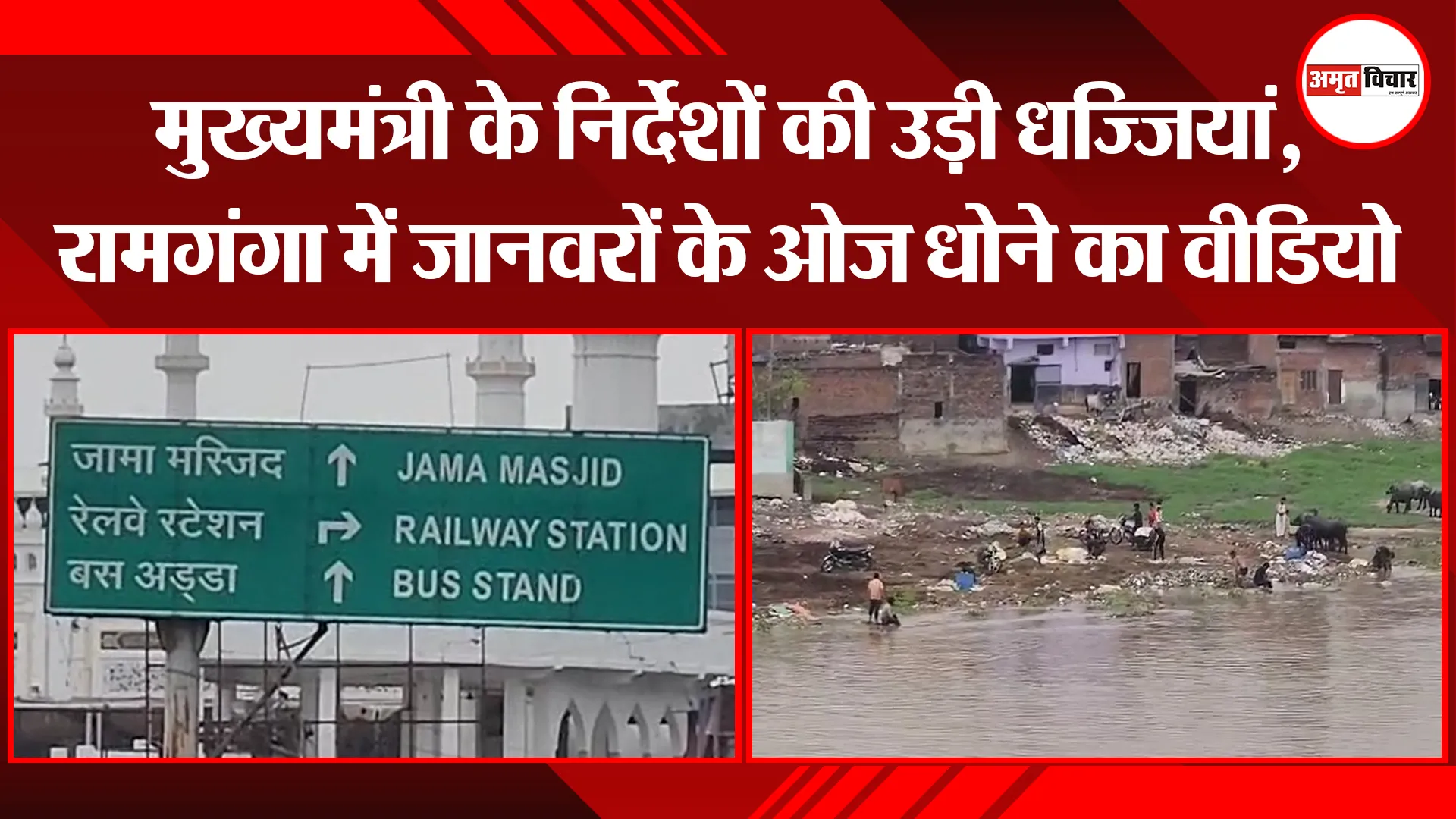 मुरादाबाद: मुख्यमंत्री के निर्देशों की उड़ी धज्जियां, रामगंगा में जानवरों के ओज धोने का वीडियो वायरल