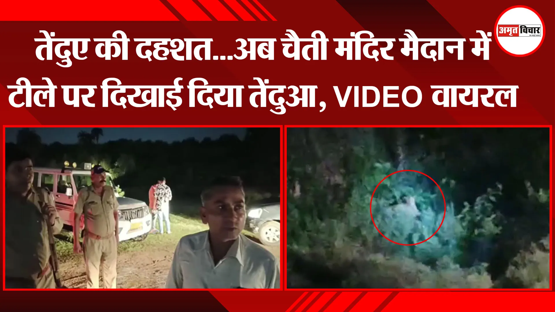 काशीपुर: तेंदुए की दहशत...अब चैती मंदिर मैदान में टीले पर दिखाई दिया तेंदुआ, VIDEO वायरल