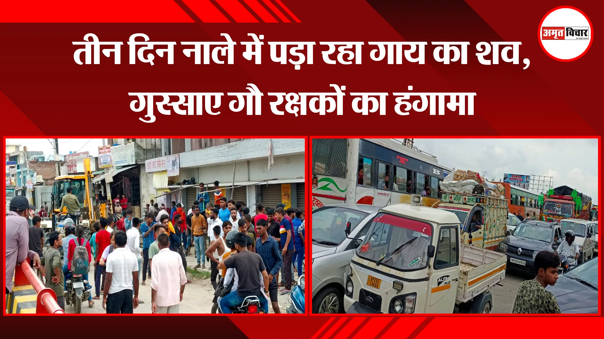 बरेली: तीन दिन नाले में पड़ा रहा गाय का शव, गुस्साए गौ रक्षकों का हंगामा