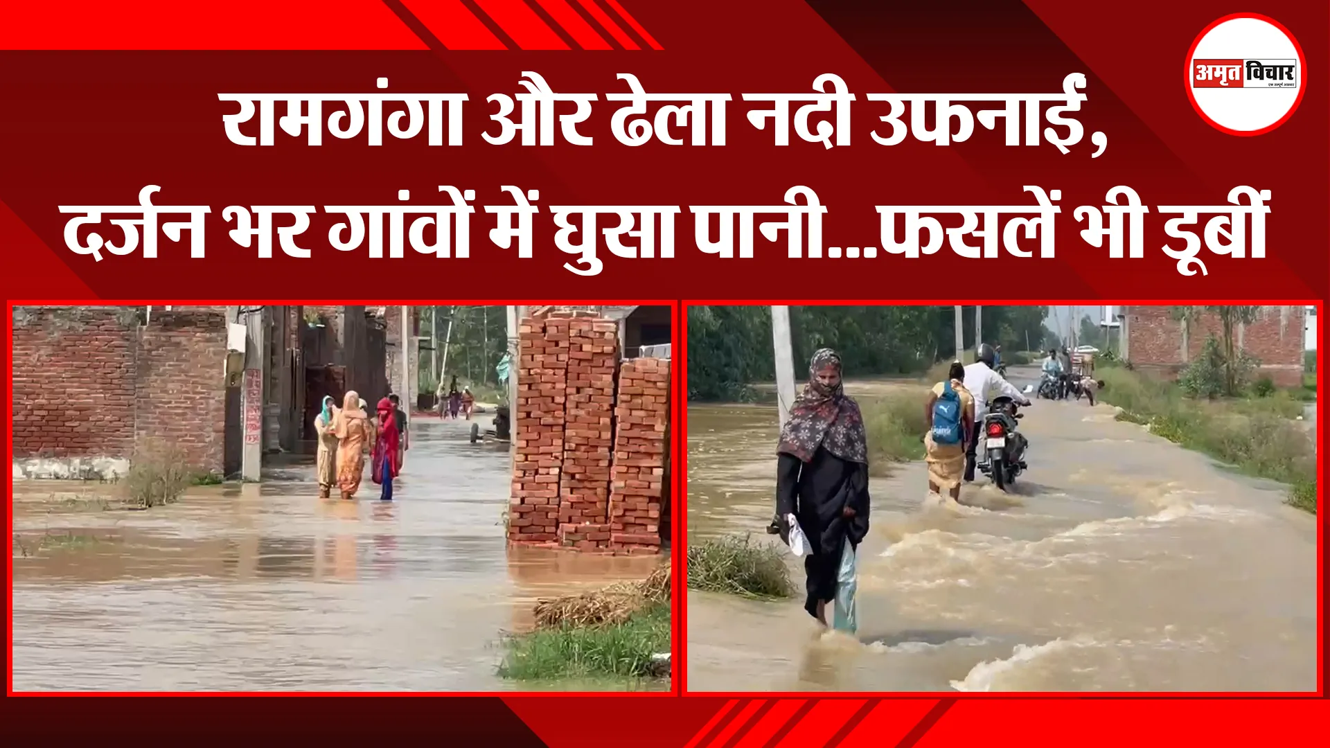 मुरादाबाद: रामगंगा और ढेला नदी उफनाईं, दर्जन भर गांवों में घुसा पानी...फसलें भी डूबीं