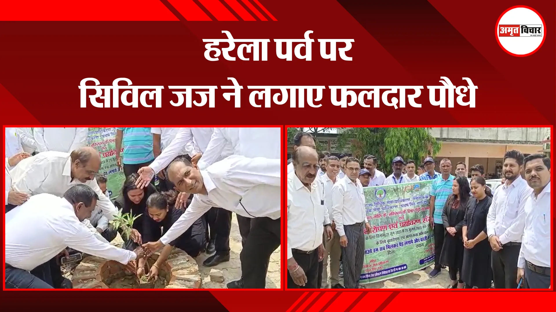 बाजपुर: हरेला पर्व पर सिविल जज ने लगाए फलदार पौधे
