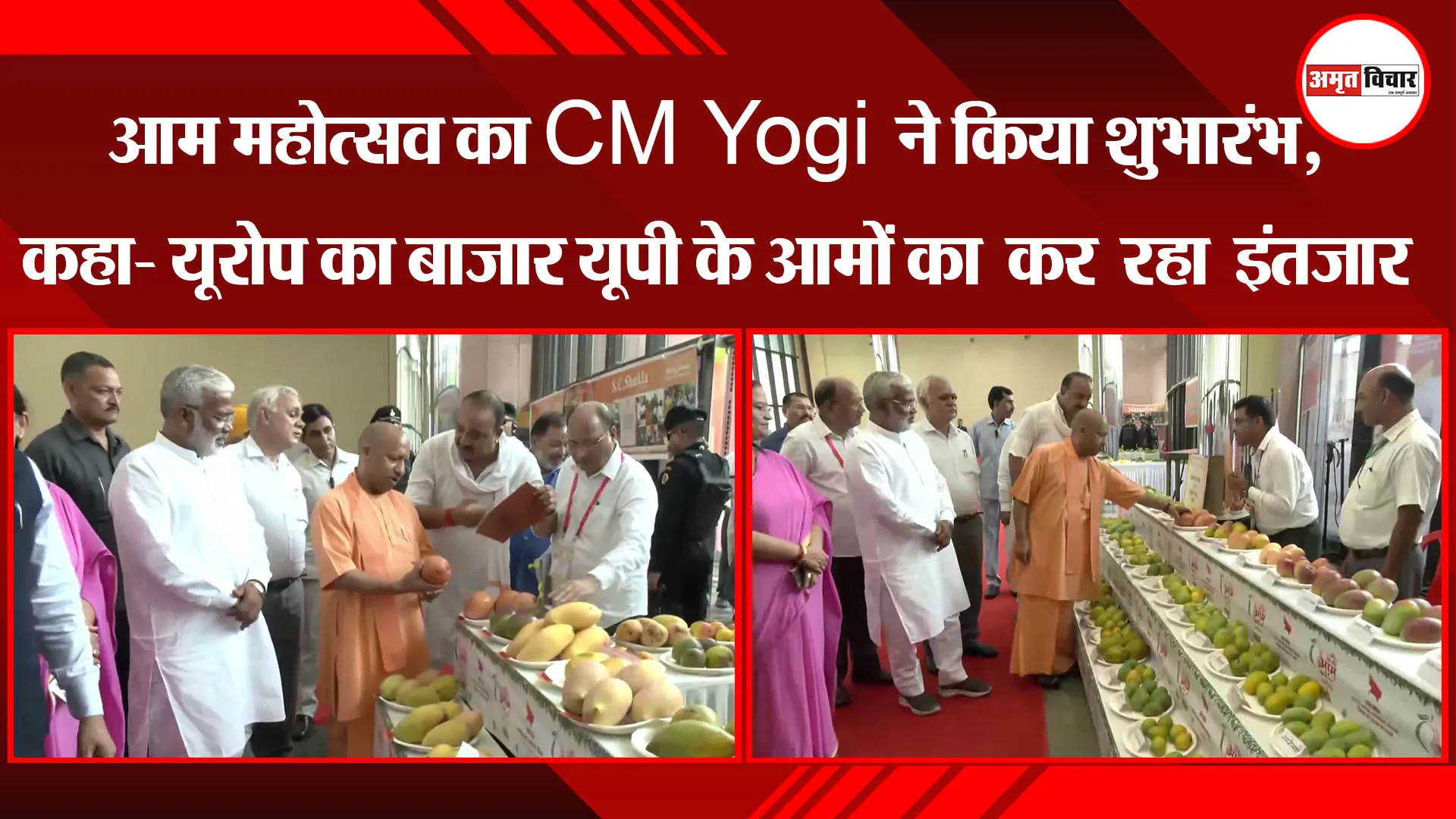 लखनऊ: आम महोत्सव का CM Yogi ने किया शुभारंभ, कहा- यूरोप का बाजार यूपी के आमों का कर रहा इंतजार