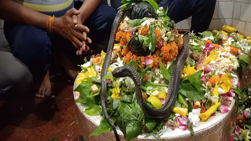 उन्नाव: सावन के तीसरे सोमवार को साक्षात नाग देवता ने किए भोलेनाथ के दर्शन, भक्त हुए स्तब्ध