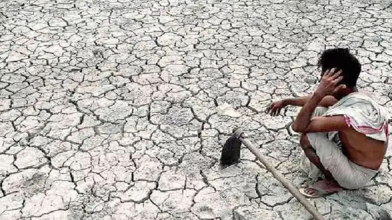 कम बारिश के कारण सूखे जैसे हालात की तरफ बढ़ रहा झारखंड राज्य